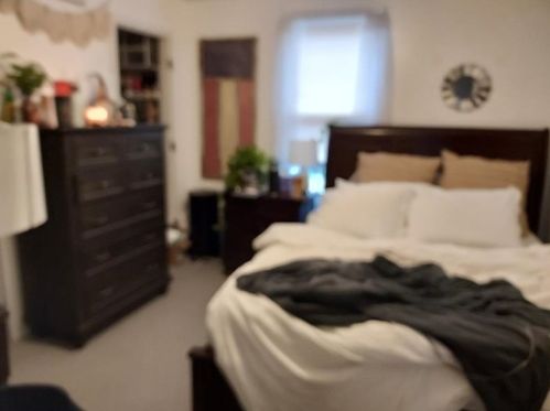 235 Dunseith St, Pittsburgh PA 15213-2505 exterior