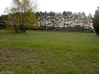 1733 Fairview Dr, Allegan MI  49010-8994 exterior