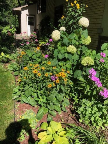 415 Brk Ave, Saint Paul MN 55109-2014 exterior