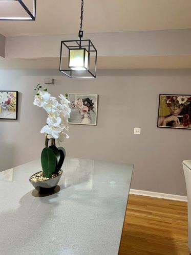 1450 Talman Ave, Chicago IL 60625-2823 exterior