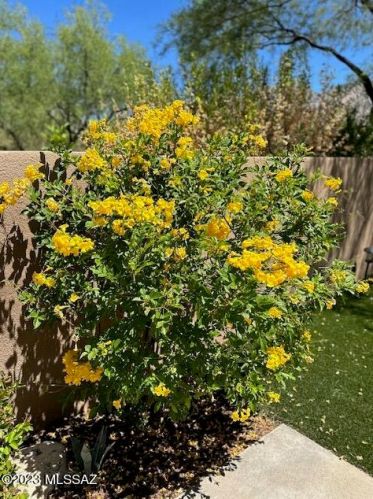 4061 Quiet Moon Dr, Tucson AZ  85718-3427 exterior