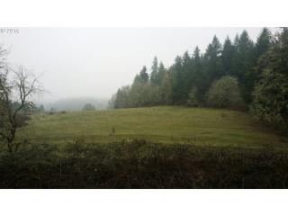 84429 Territorial Hwy, Eugene, OR 97405-9709