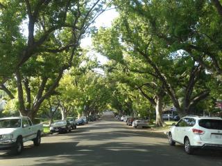 5124 Shearin Ave, Los Angeles CA  90041-1216 exterior