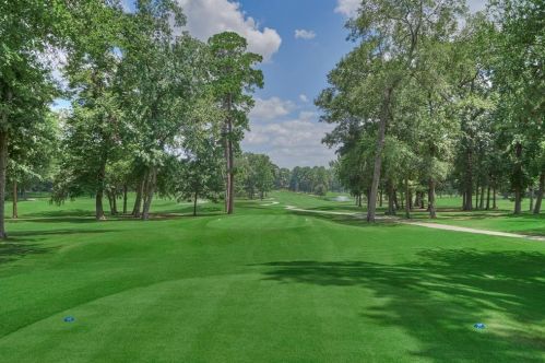 12222 Hawthorne Dr, Montgomery TX 77356-5449 exterior