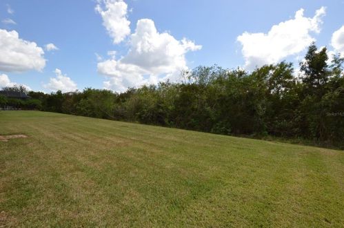 13221 Graham Yarden Dr, Riverview, FL 33579-2387