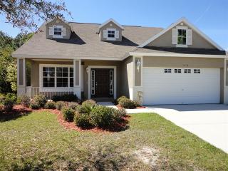 36036 Shady Bluff Loop, Zephyrhills FL  33541-2706 exterior