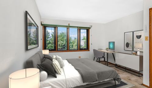 421 29th St, Chicago, IL 60616-3113