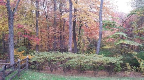 111 Deforest Rd, Wilton CT 06897-1910 exterior