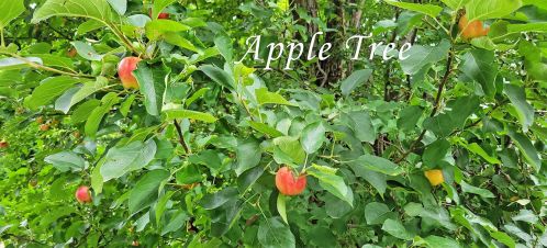 1418 9 St, Manitowoc WI 54220-5703 exterior