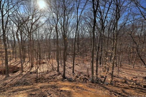 24 Albert Ave, Derby CT exterior