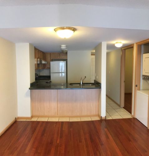 475 24th St, Chicago, IL 60616-4674