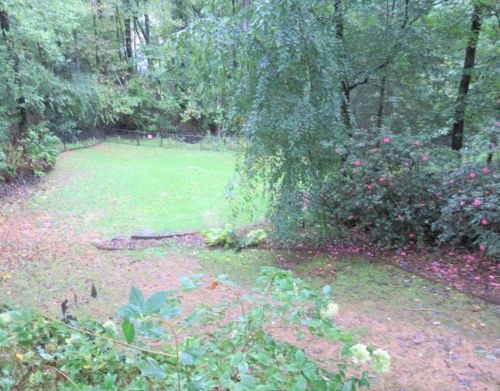 3829 Alexandria Dr, Gainesville GA 30506-4318 exterior