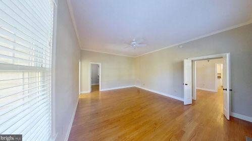 28659 Hope Cir, Easton MD 21601-8442 exterior