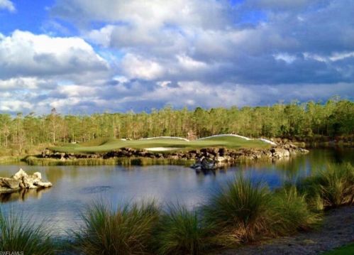 2906 Leonardo Ave, Naples FL exterior