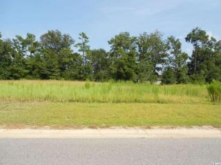 120 Olympus Ln, Conway SC  29526-8081 exterior