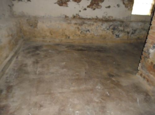 12114 Lowe Ave, Chicago IL 60628-7037 exterior