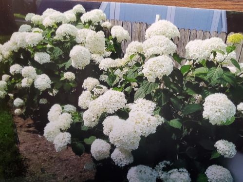 1512 Holton Rd, Meskegon MI 49445-1678 exterior