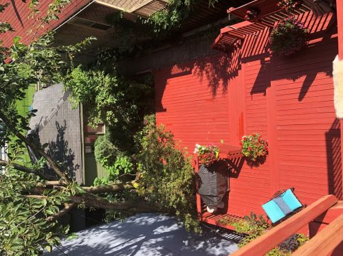 2749 Kenmore Ave, Chicago IL 60657-4315 exterior