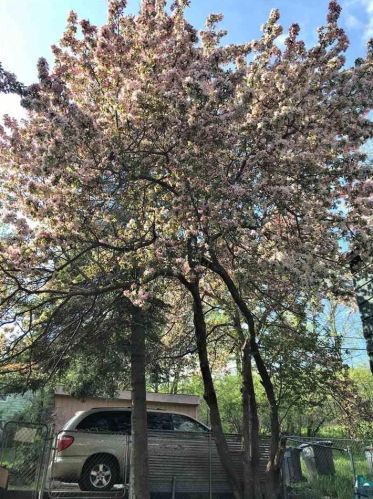 2021 4 St, Duluth MN 55805-1873 exterior