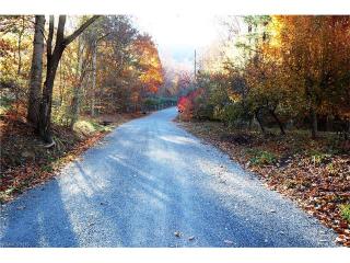 15 Beech Tree Ln, Asheville, NC 28804-1949