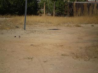 2202 Nancy Ln, Phoenix AZ  85041-5315 exterior