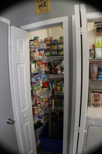 487 Windham Cv Dr, Bull Valley IL 60014-2737 exterior