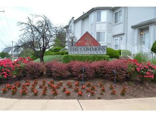 103 Jesse Way, Piscataway NJ  08854-6410 exterior