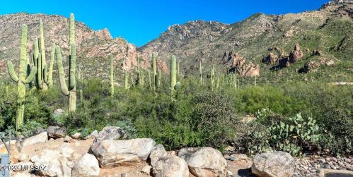 6655 Canyon Crest Dr, Tucson AZ  10161-0937 exterior