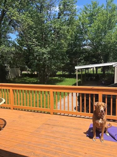 311 Butterfield Rd, Elmhurst IL  60126-4568 exterior