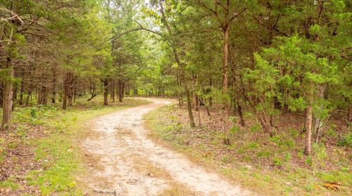 572 Spring Cave Rd, Spring Bluff MO exterior