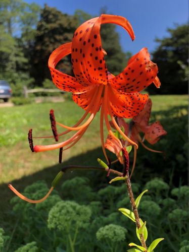 75 Massasoit Rd, Eastham MA 02642-1500 exterior