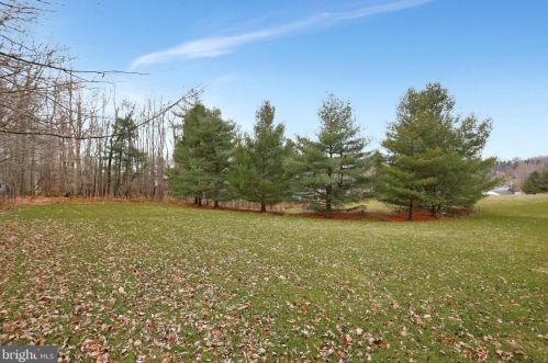 3 Wooded Ridge Rd, Swanton MD 21561-2334 exterior