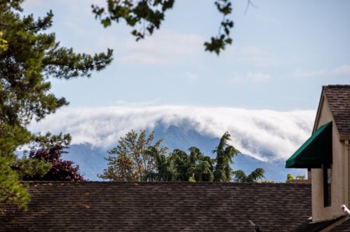 5595 Makati Cir, San Jose CA 95123-6236 exterior