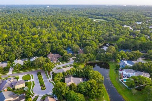 15704 Mifflin Ct, Tampa FL exterior