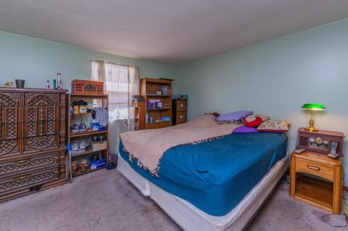 4542 Ray Ave, Saint Louis MO 63116-2926 exterior