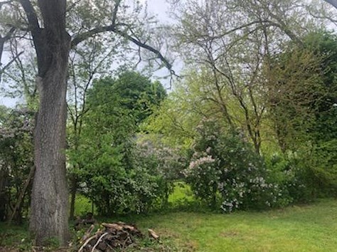 3047 Highgate Ave, Wyoming MI 49509-2901 exterior