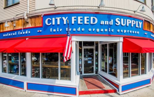 4 Robinwood Ave, Boston MA 02130 exterior