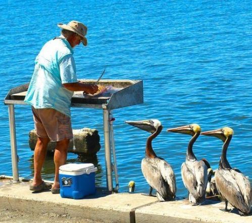 316 Springview Loop, Fort Pierce FL 34986-2665 exterior