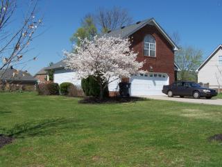 312 Orpha Dr, Smyrna, TN 37167-6159