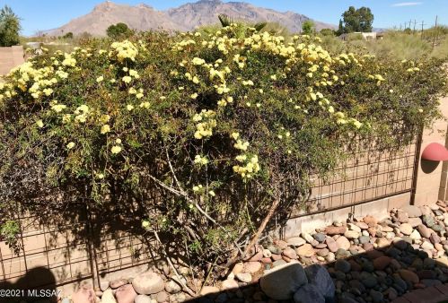 1935 Cholla Vista Dr, Tucson AZ  85704-1089 exterior