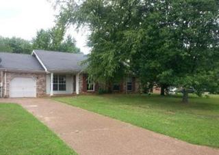 102 Raspberry Ln, Smyrna, TN 37167-4612