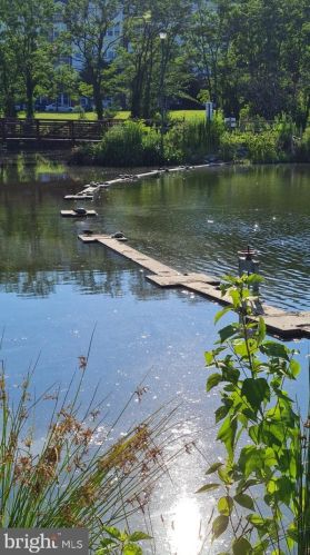 5082 Donovan Dr, Alexandria VA 22304-7755 exterior