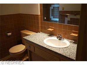 3641 Meadowbrook Blvd, Cleveland OH  44118-3655 exterior