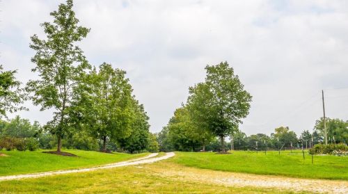 572 Spring Cave Rd, Spring Bluff MO exterior