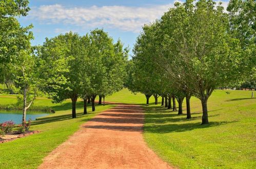 194 Bentwater Bay Dr, Montgomery TX 77356-4651 exterior