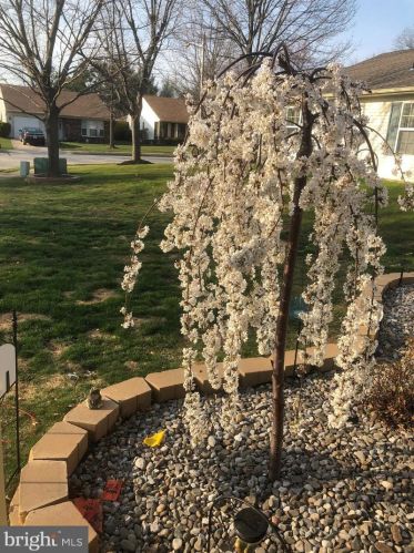 24 Fireside Cir, Columbus NJ 08022-1016 exterior