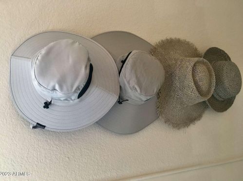 14021 29 St, Phoenix AZ 85032-3726 exterior