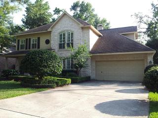 19 Taper Glow Pl, Spring TX  77381-4731 exterior