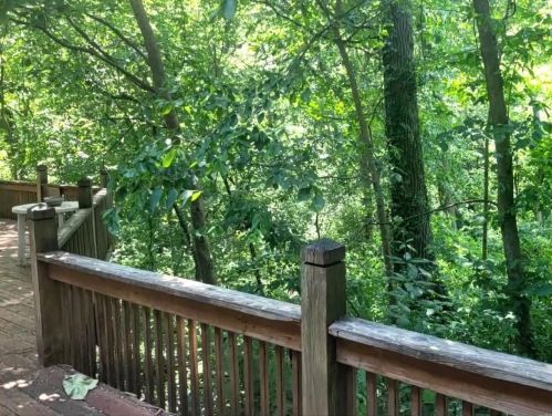 739 Spg Gdn Dr, Saint Louis MO 63137-4327 exterior