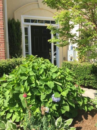 4126 Rogers Creek Ct, Duluth, GA 30096-2101